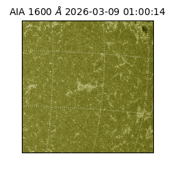 saia - 2026-03-09T01:00:14.120000