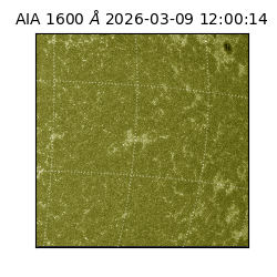 saia - 2026-03-09T12:00:14.120000