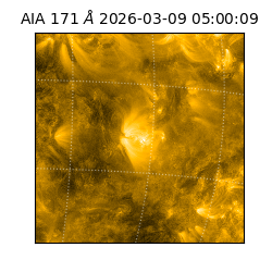 saia - 2026-03-09T05:00:09.350000