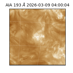 saia - 2026-03-09T04:00:04.840000