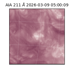 saia - 2026-03-09T05:00:09.620000