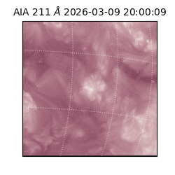 saia - 2026-03-09T20:00:09.620000