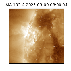 saia - 2026-03-09T08:00:04.840000