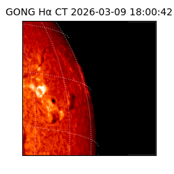 gong - 2026-03-09T18:00:42