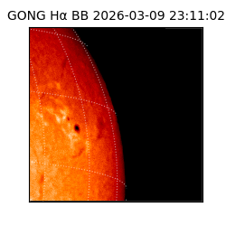 gong - 2026-03-09T23:11:02