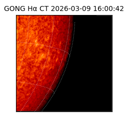 gong - 2026-03-09T16:00:42