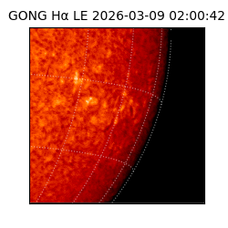 gong - 2026-03-09T02:00:42