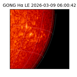 gong - 2026-03-09T06:00:42