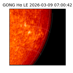 gong - 2026-03-09T07:00:42