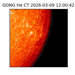 gong - 2026-03-09T12:00:42