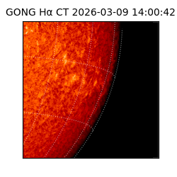 gong - 2026-03-09T14:00:42