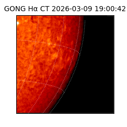 gong - 2026-03-09T19:00:42
