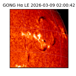 gong - 2026-03-09T02:00:42