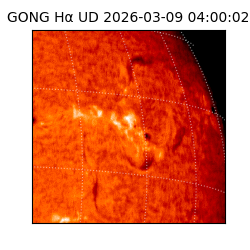 gong - 2026-03-09T04:00:02