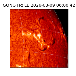 gong - 2026-03-09T06:00:42