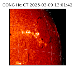 gong - 2026-03-09T13:01:42