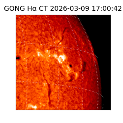 gong - 2026-03-09T17:00:42