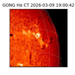 gong - 2026-03-09T19:00:42