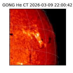 gong - 2026-03-09T22:00:42