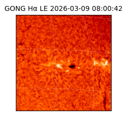 gong - 2026-03-09T08:00:42