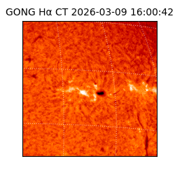 gong - 2026-03-09T16:00:42