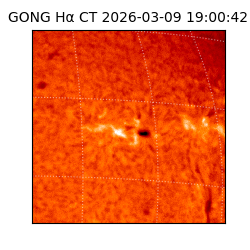 gong - 2026-03-09T19:00:42