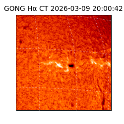 gong - 2026-03-09T20:00:42