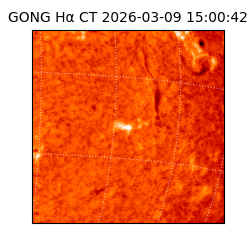 gong - 2026-03-09T15:00:42