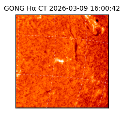 gong - 2026-03-09T16:00:42