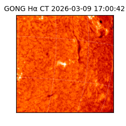 gong - 2026-03-09T17:00:42