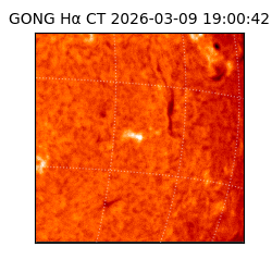 gong - 2026-03-09T19:00:42