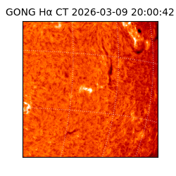 gong - 2026-03-09T20:00:42