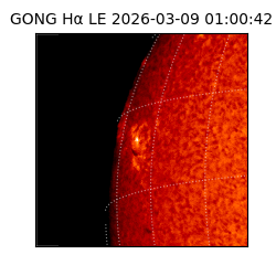 gong - 2026-03-09T01:00:42