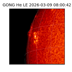gong - 2026-03-09T08:00:42