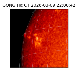 gong - 2026-03-09T22:00:42