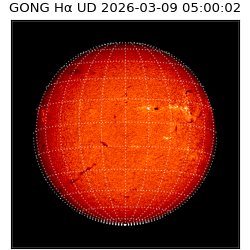 gong - 2026-03-09T05:00:02