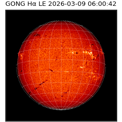 gong - 2026-03-09T06:00:42