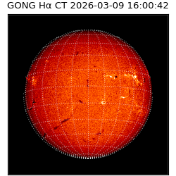gong - 2026-03-09T16:00:42