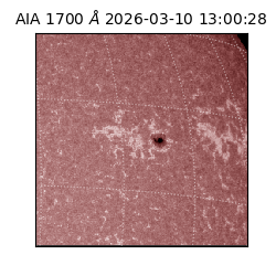 saia - 2026-03-10T13:00:28.445000