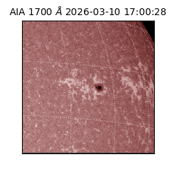 saia - 2026-03-10T17:00:28.446000