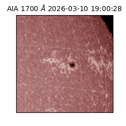 saia - 2026-03-10T19:00:28.462000