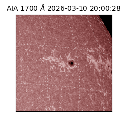 saia - 2026-03-10T20:00:28.470000