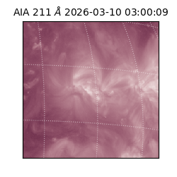 saia - 2026-03-10T03:00:09.624000