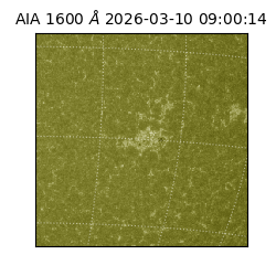 saia - 2026-03-10T09:00:14.123000