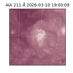 saia - 2026-03-10T19:00:09.624000