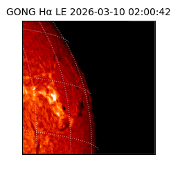 gong - 2026-03-10T02:00:42