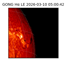 gong - 2026-03-10T05:00:42