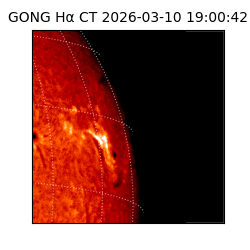 gong - 2026-03-10T19:00:42