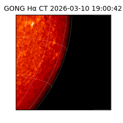 gong - 2026-03-10T19:00:42