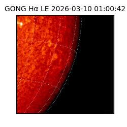 gong - 2026-03-10T01:00:42